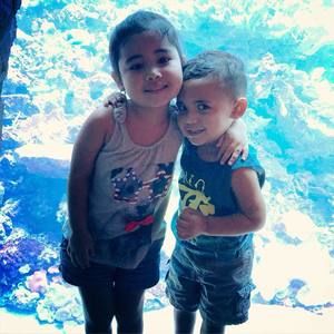 Meet your Posher, Harold